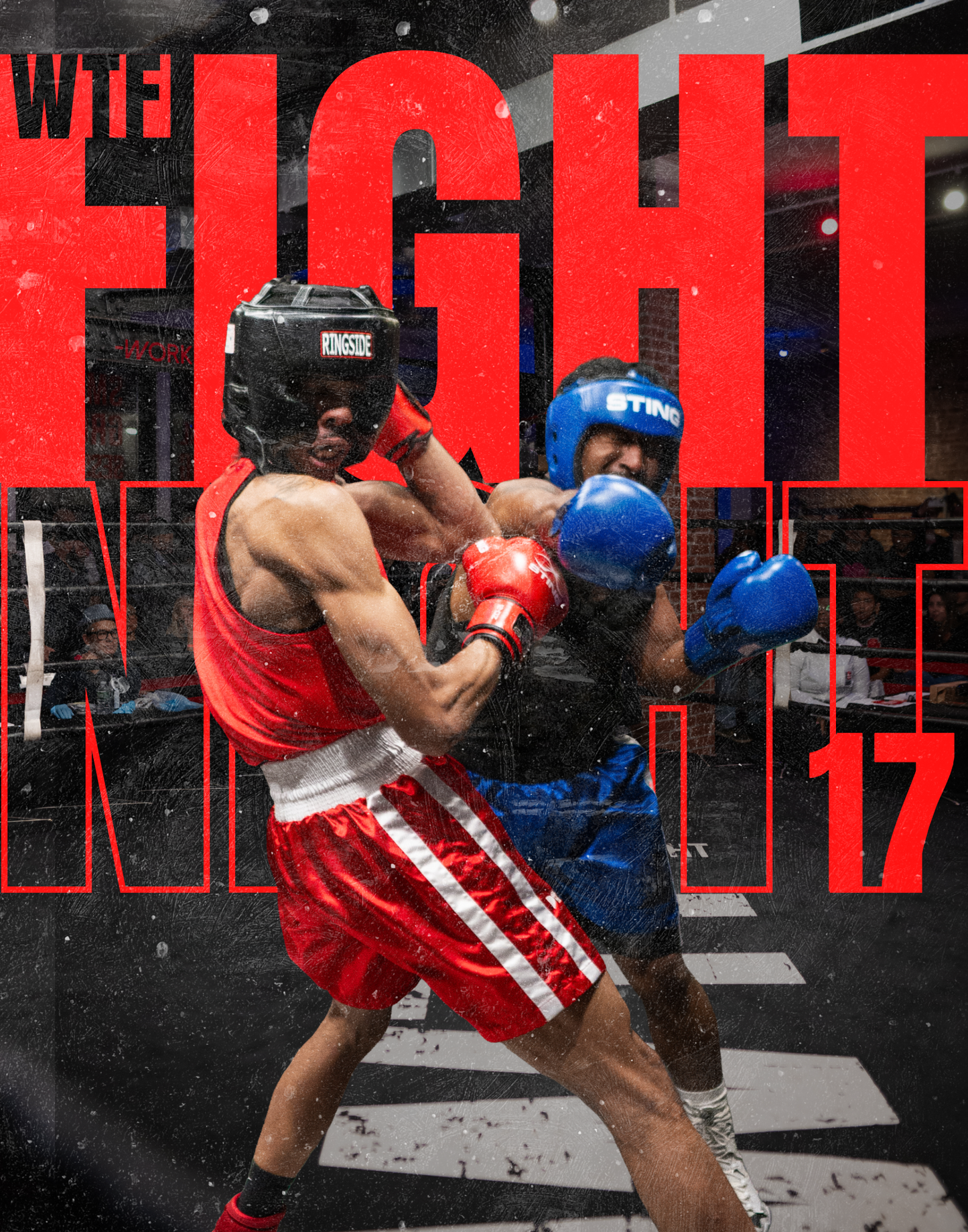 WTF FIGHT NIGHT 17
